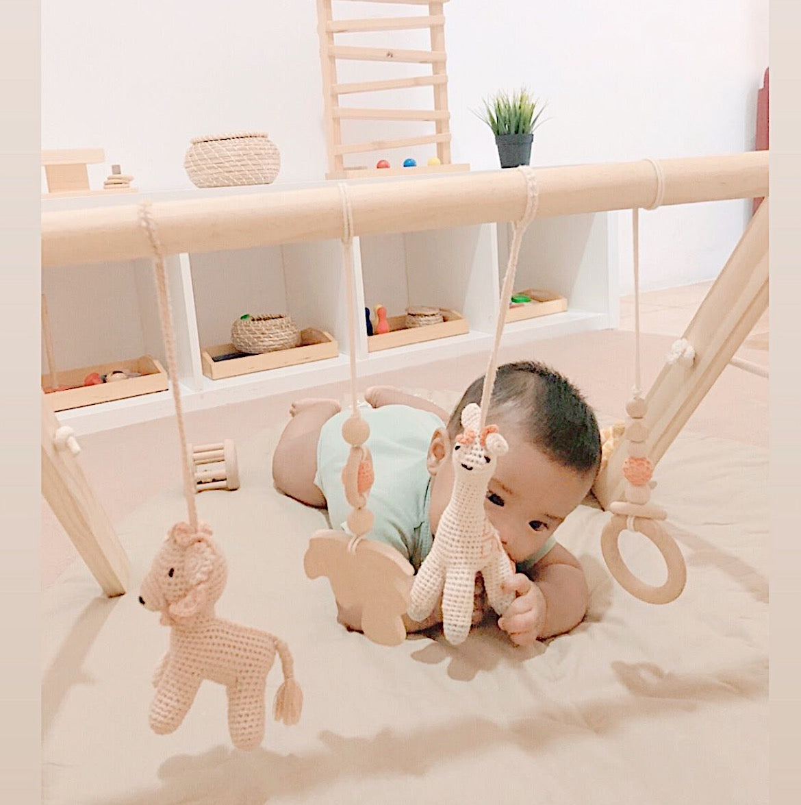 Baby Gym - Animal