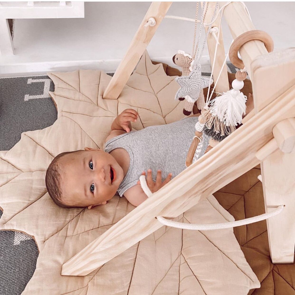 Baby Gym - Horse