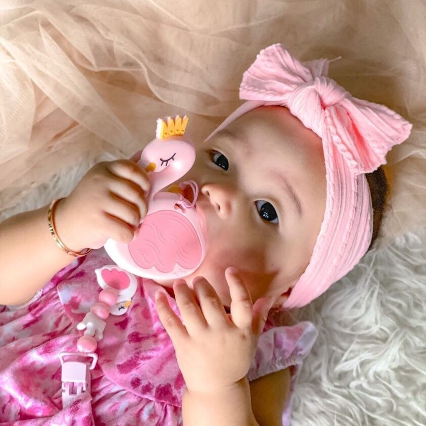 Flamingo Teether Set