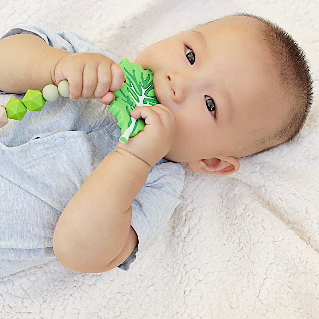 Lettuce Teether Set