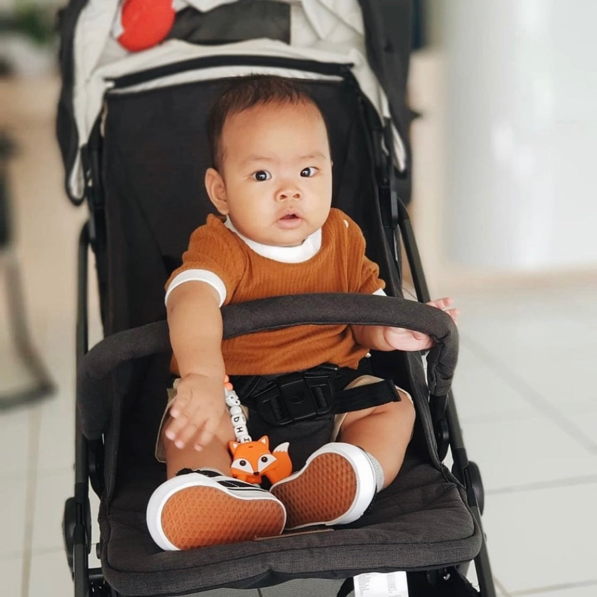 Fox Teether Set