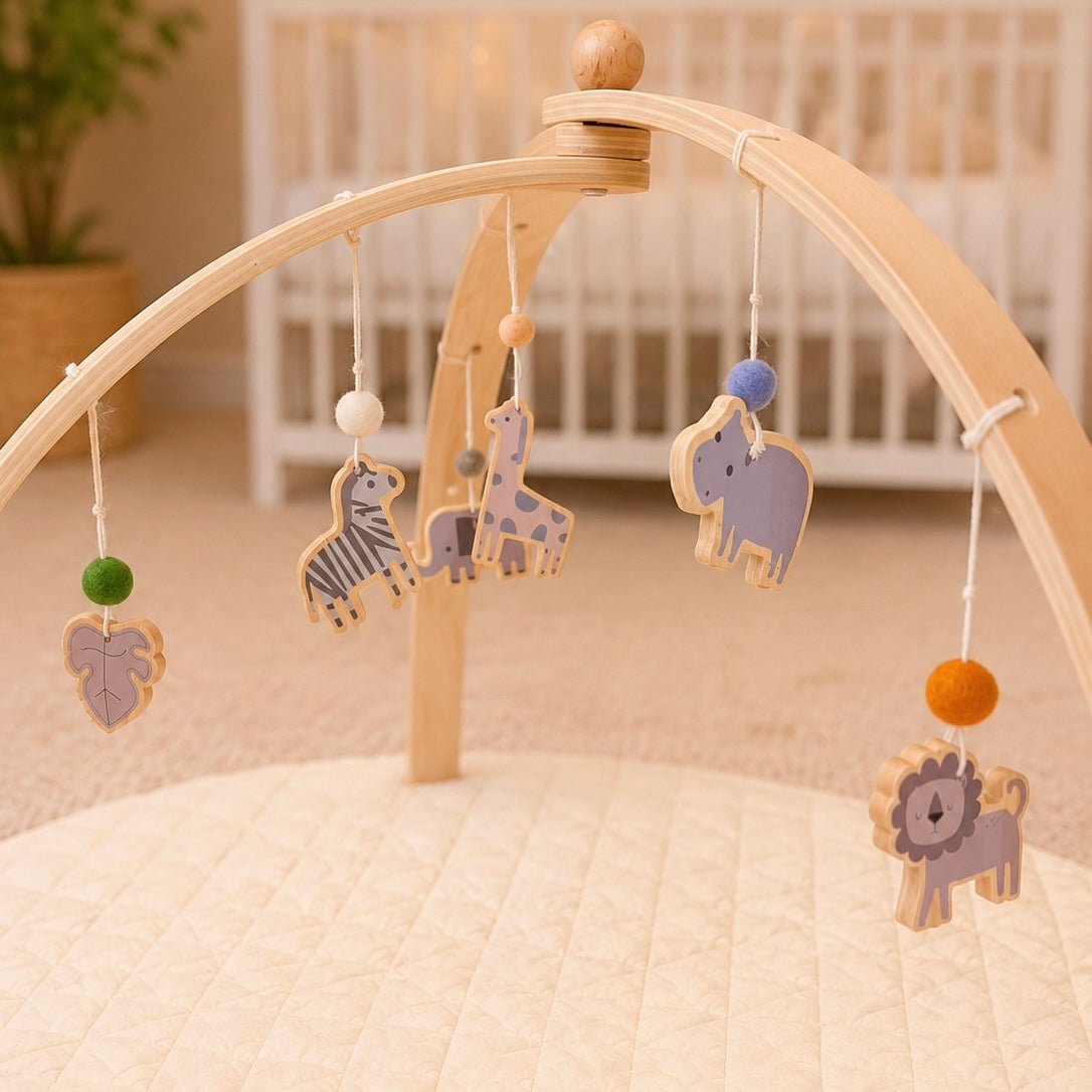 Baby Gym - Little Havana