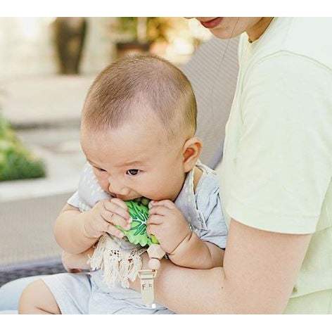 Lettuce Teether Set